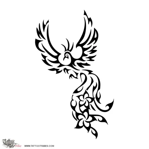 C+A phoenix