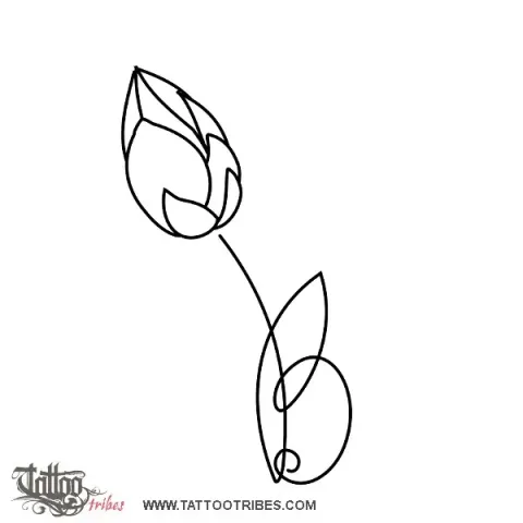 Lotus bud