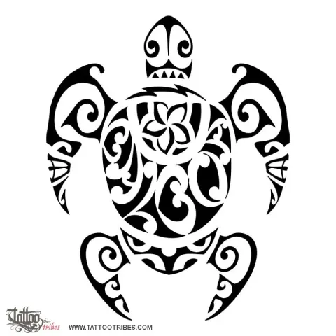 Balboa turtle