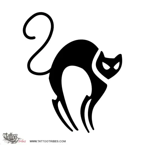 Black cat