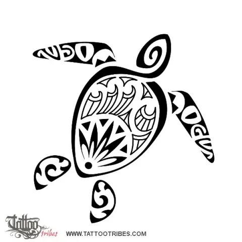 M+C Turtle