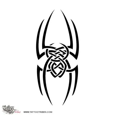 Spider