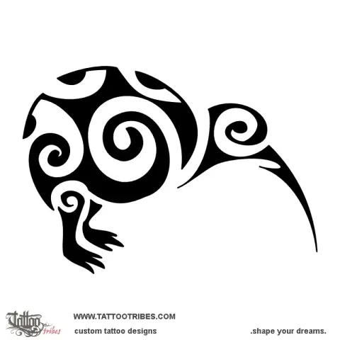 Kiwi bird