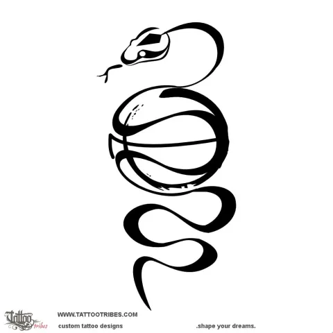 Snake & basketball