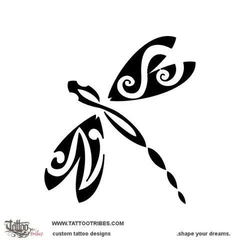 S+N dragonfly