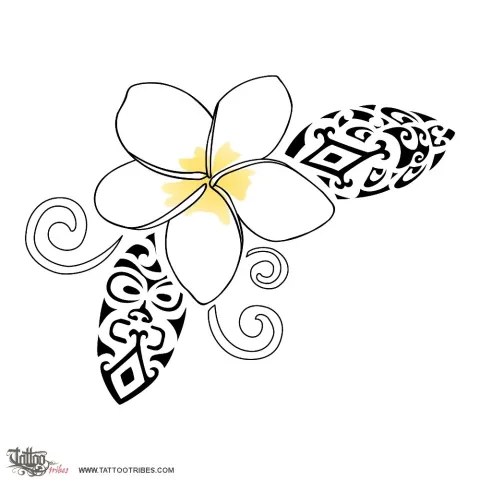 Frangipani