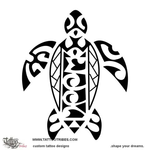 IPPM turtle
