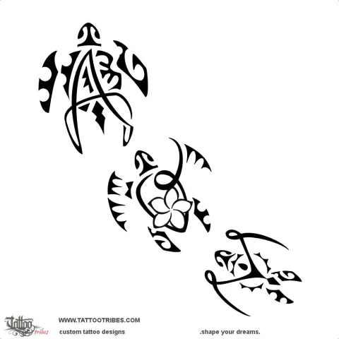 AOM Turtles