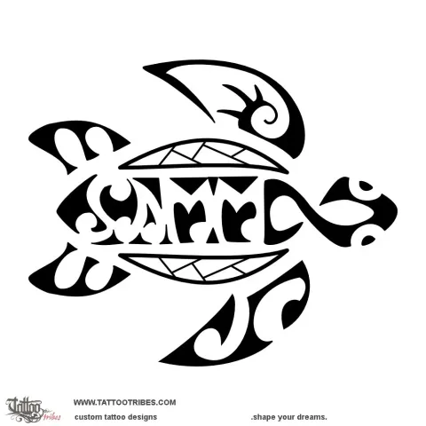 Samm turtle