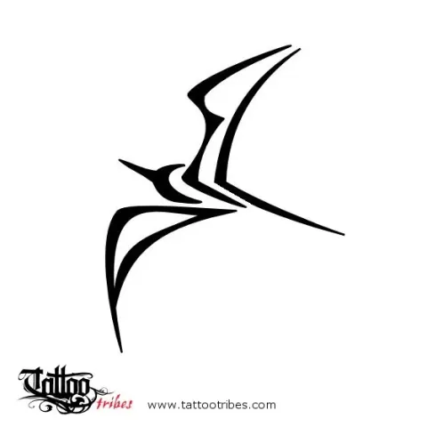 Frigate bird