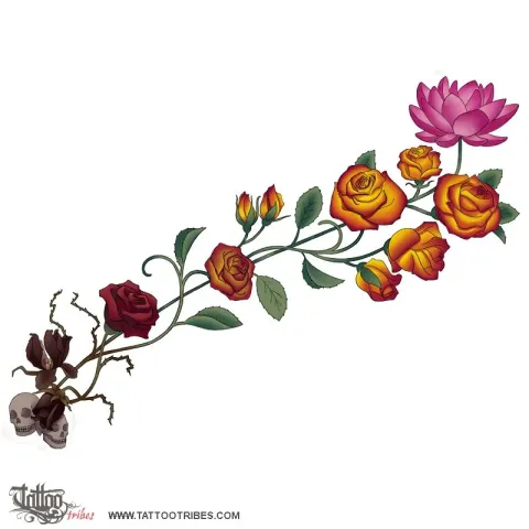 Roses and lotus