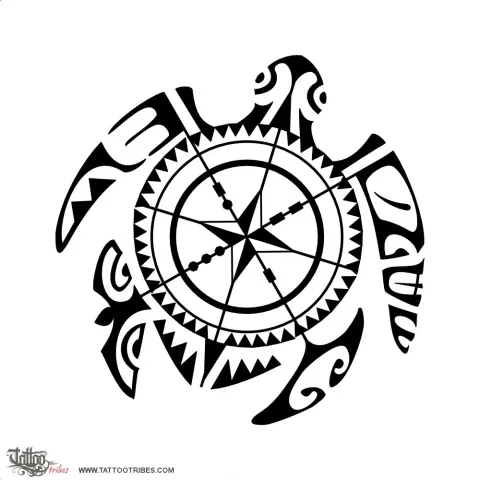 Compass turtle