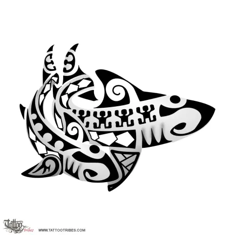 Two sharks