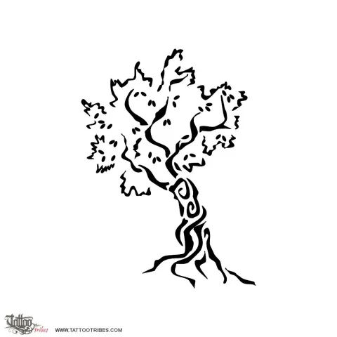 Olive tree