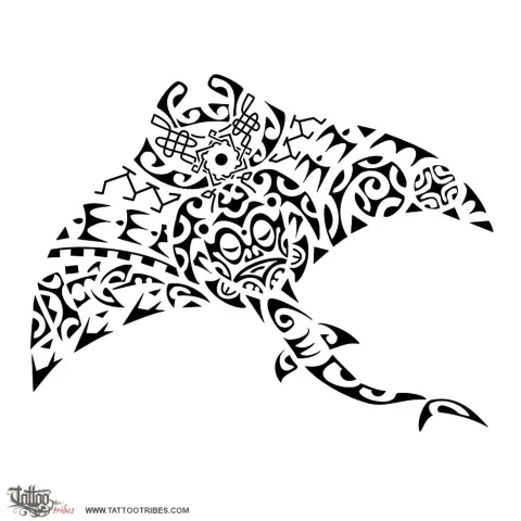 Manta ray