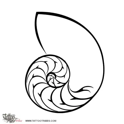 Nautilus