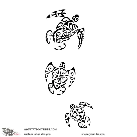 3 Turtles