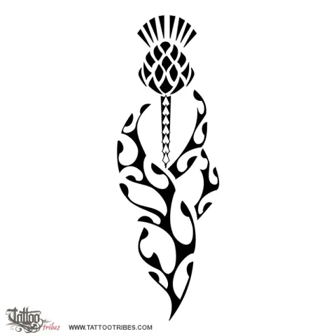 Thistle
