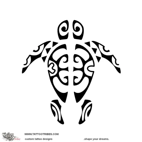 Split turtle