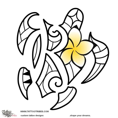 Maori small turtle