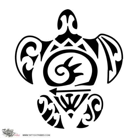 F+A+M+S turtle