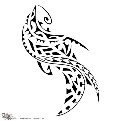Koi