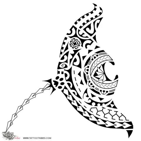 Manta