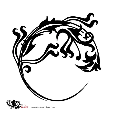 Salamander
