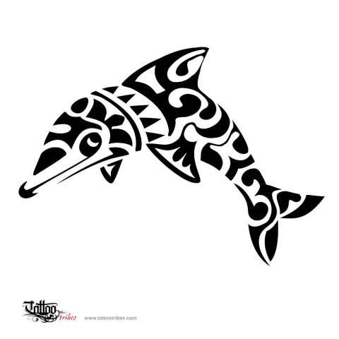 Dolphin