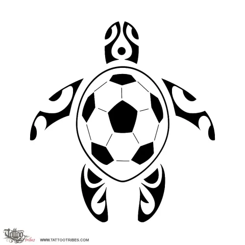 Sea turtle
