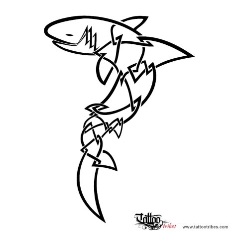 Celtic shark (Roots) tattoo design thumbnail