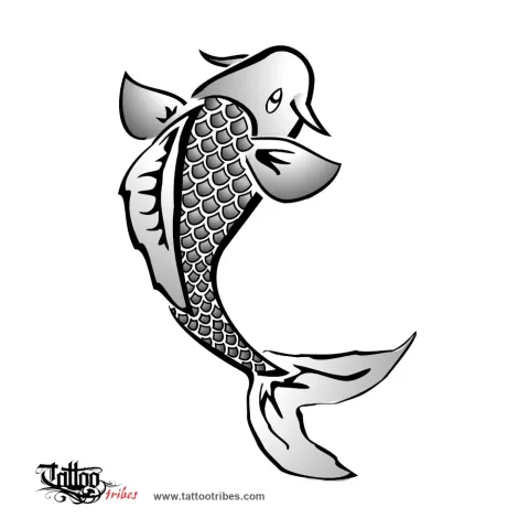 Koi
