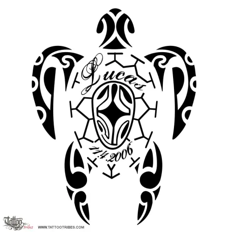 Sea turtle
