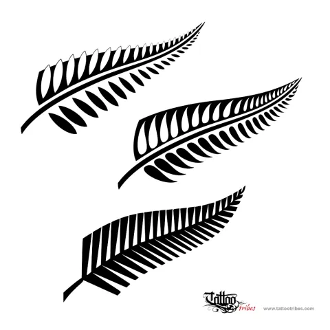 Maori fern