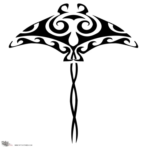 Manta
