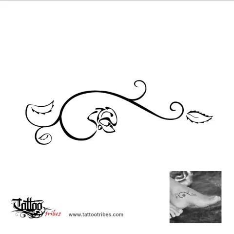 Thornless rose