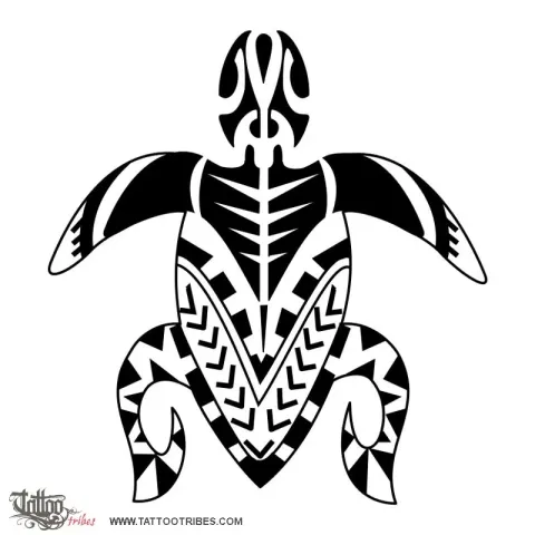 Samoan turtle