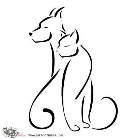 Cat and dog