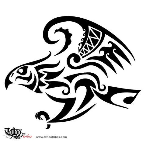 Hawk
