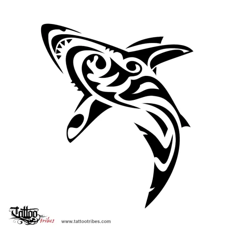 Shark
