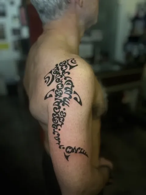 Alberto - Maorigram shark