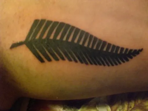Alessandro - Silver fern
