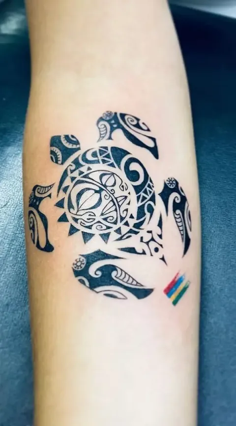 Allan - sunmoon turtle