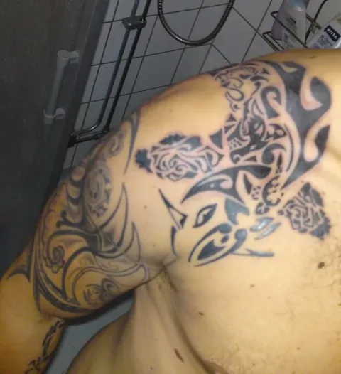 Anders - Maori koi
