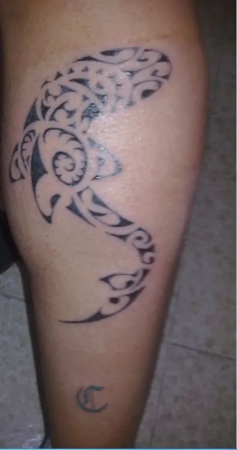 Andrea - Shark