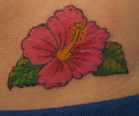 Andrea - Hibiscus