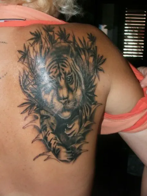 Ania - Tiger