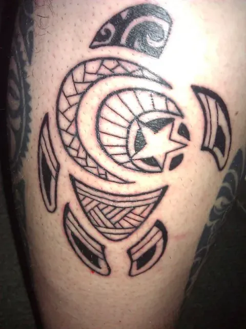 Chris - Turtle