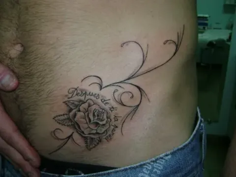 Cosimo - Rose