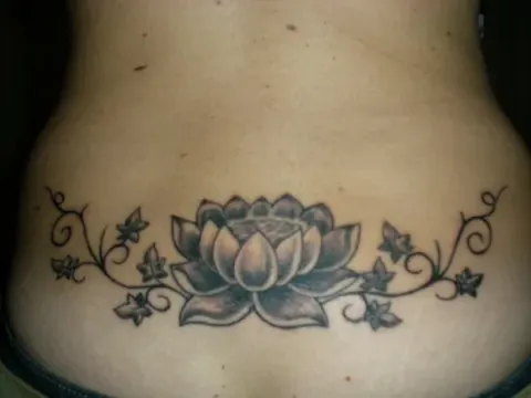 Cri - Lotus and ivy